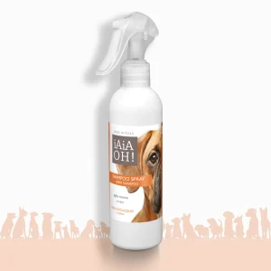 SHAMPOO SPRAY SENZA RISCIACQUO - 250 ml