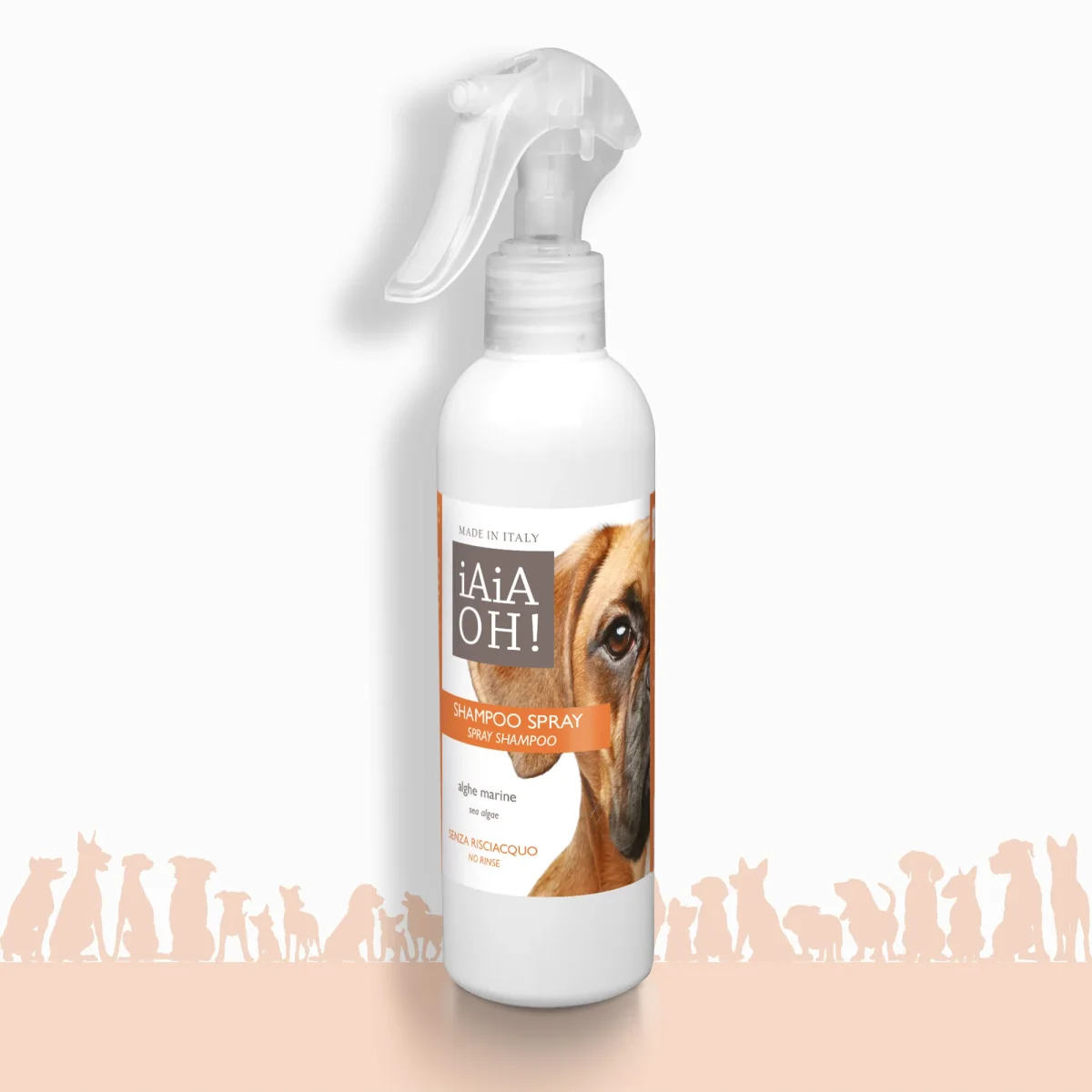 SHAMPOO SPRAY SENZA RISCIACQUO – 250 ml