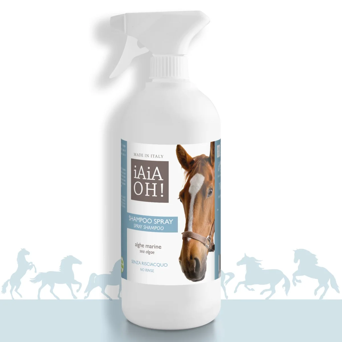 SHAMPOO SPRAY SENZA RISCIACQUO – 750 ml